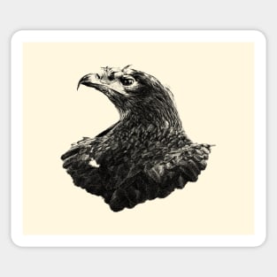 Steppe eagle Sticker